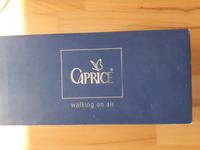 Caprice Pumps Gr. 40,5 Leipzig - Lößnig Vorschau