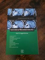 Ergotherapie: Gehirn und Wahrnehmung Nordrhein-Westfalen - Beverungen Vorschau