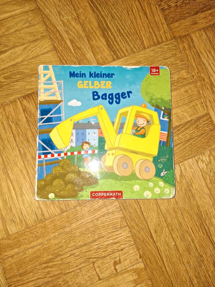 Bagger Buch in Boostedt