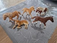 Schleich Pferde Schleswig-Holstein - Pöschendorf Vorschau