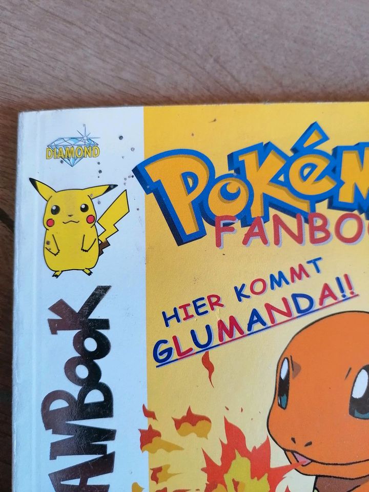 Pokemon/Pokémon Fanbooks 4 und 5 in Oer-Erkenschwick