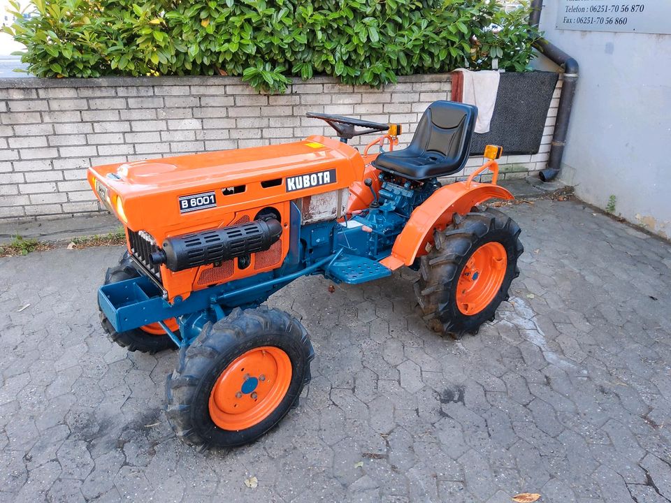 Kubota 6001 4x4 -3 Zylinder in Lorsch