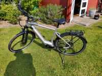 E-Bike VOCTORIA, Ddiamant 12.8, Gesamt Kilometer 104 Schleswig-Holstein - Kappeln Vorschau