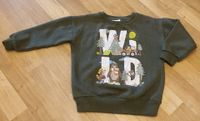 Pulli Sweatshirt Pullover Oberteil Kinder Größe 104 Nordrhein-Westfalen - Velbert Vorschau