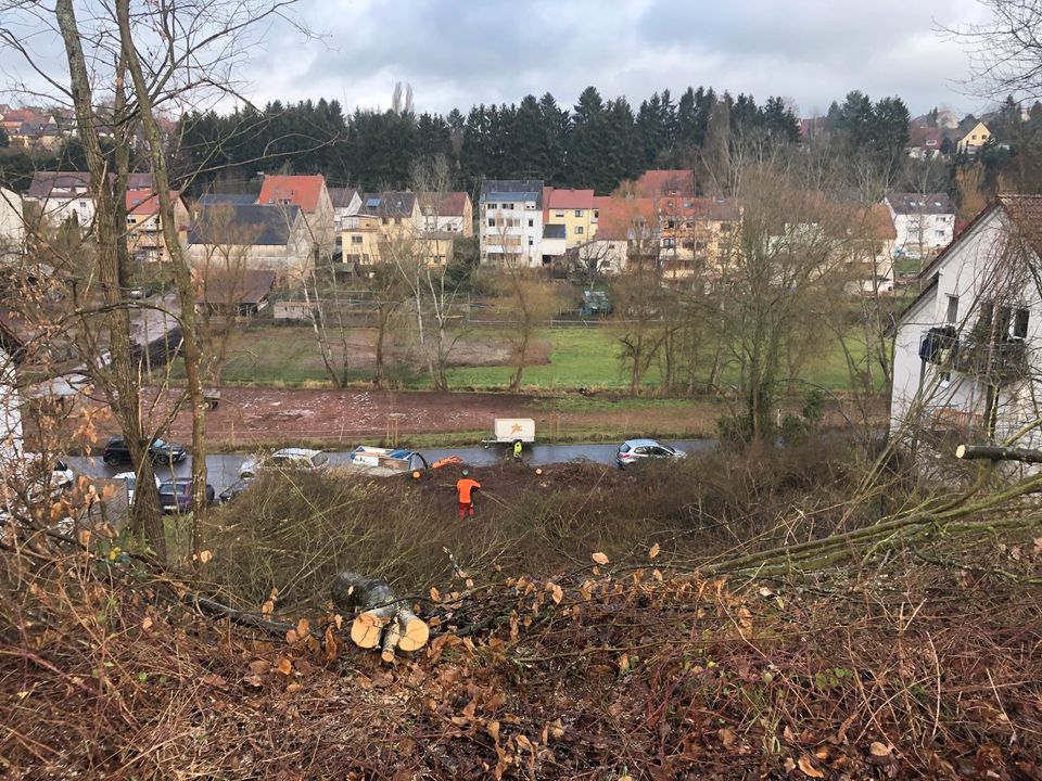 Baumpflege Baumfällung Gartenarbeit Grundstückspflege in Oberthal