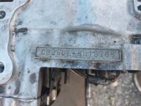 Honda CB 250 Motor Nordrhein-Westfalen - Lünen Vorschau