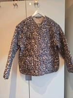 Steppjacke Zara Niedersachsen - Rastede Vorschau