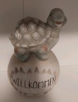 Deko Figur Schildkröte Nordrhein-Westfalen - Bedburg Vorschau