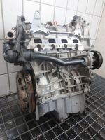 Motor VW Golf 5 1,6 FSi BLP 85KW 115PS -95tkm- Passat Jetta Toura Niedersachsen - Langwedel Vorschau