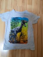 T-Shirt Dinosaurier Jungen 122 Mecklenburg-Vorpommern - Neuburg (Nordwestmecklenburg) Vorschau