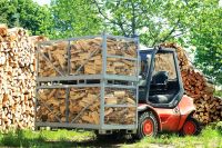 ☘️ Brennholz Kaminholz Stammholz u Scheitholz Raum Hof Thüringen - Schleiz Vorschau