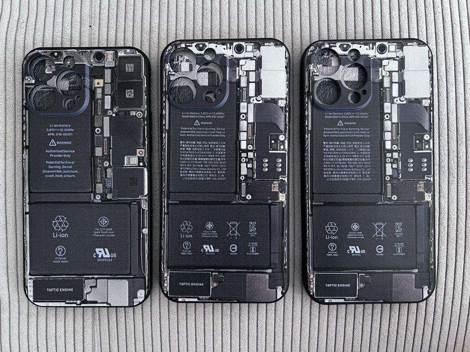 Apple iPhone 13 Pro Max inside Innenleben Schutz Hülle in Niedersachsen -  Braunschweig | Apple iPhone gebraucht kaufen | eBay Kleinanzeigen ist jetzt  Kleinanzeigen