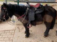Wunder schöner Pony westernsattel Baden-Württemberg - Kißlegg Vorschau