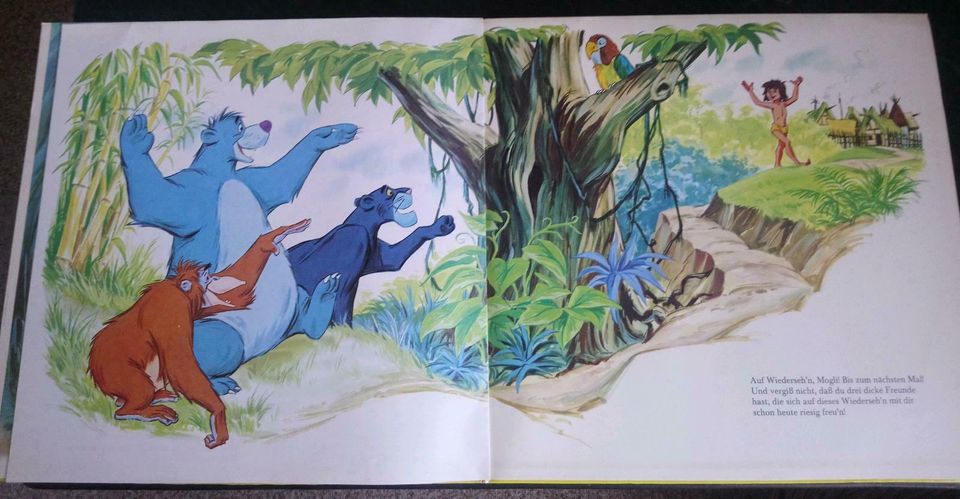 Disney's Dschungel Buch II  Langspielplatte mit Bilderbuch in Berlin