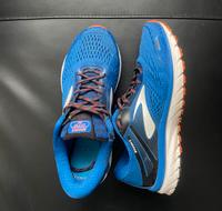 Brooks Adrenaline GTS 18 Rheinland-Pfalz - Mainz Vorschau