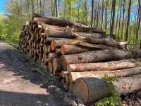 Stammware Esche Buche Eiche Kaminholz Brennholz Niedersachsen - Königslutter am Elm Vorschau