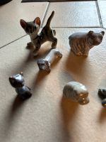 Porzellan Figuren Tiere, Katze, Schildkröte, Hase, Bär, Löwe Rheinland-Pfalz - Reichenbach-Steegen Vorschau