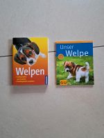 Welpenerziehung, Buch Unser Welpe, Set 6 € Bayern - Coburg Vorschau