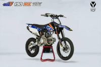 YCF BigY Factory Daytona Anima 190 MX 2020 Pitbike Cross Sachsen - Markersbach Vorschau