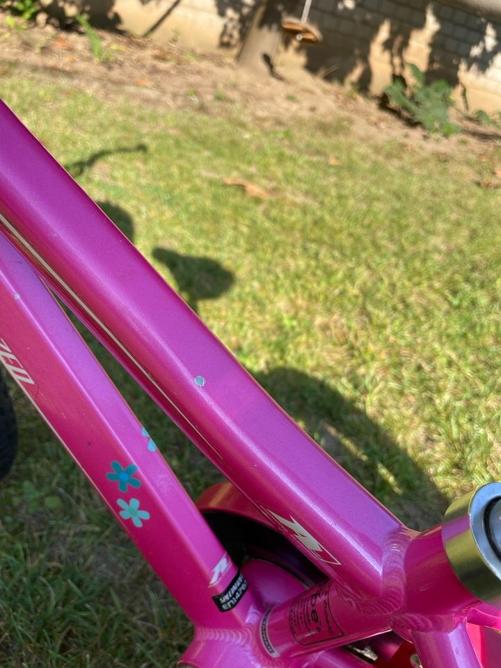 Specialized Hotrock 16 Zoll Kinderfahrrad BMX rosa pink in Euskirchen