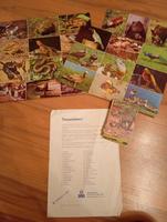 DDR Ostalgie Tierpark Lotto || Kindheitserinnerungen ♥️ Sachsen - Löbau Vorschau