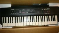 Casio Casitone CT-640 Kr. Altötting - Pleiskirchen Vorschau