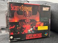 Secret of Evermore Big Box Snes mit OVP Sachsen - Zwickau Vorschau