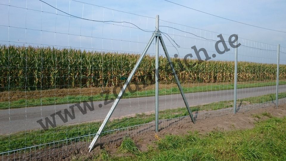 #48: Pfostenramme Pferdeweide Einzäunung Agrarbetriebe ASP Schutz in Westerstede