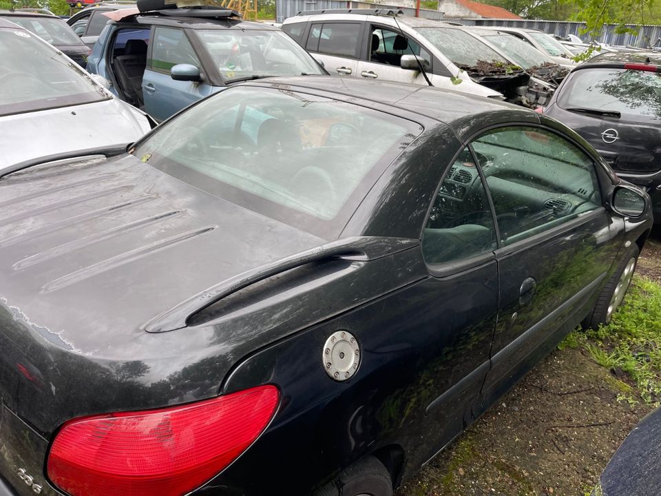 Schlachtfest Peugeot 206 CC schwarz in Ludwigshafen