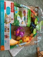 Spielbogen Rainforest FisherPrice OVP vorhanden Hessen - Niedernhausen Vorschau