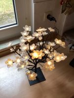 Leuchtbaum mit Blüten Brandenburg - Eichwalde Vorschau