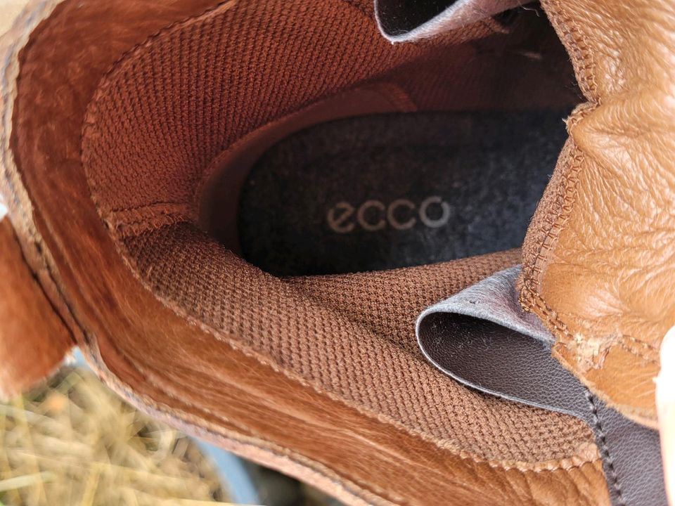 Braune Stiefel für den Herbst Ecco 37 in Grafschaft