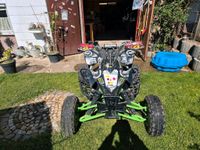 Quad Suzuki LTR450 Baden-Württemberg - Münsingen Vorschau