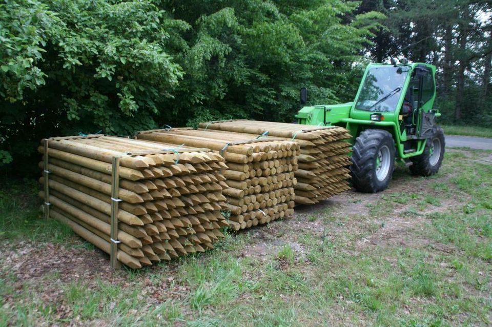 Zaunpfähle - Baumpfähle - Holzpfähle - 10 x 250 cm - imprägniert in Wagenfeld