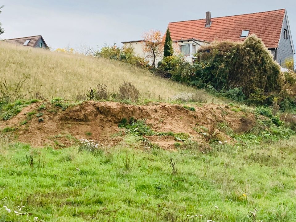 Mutterboden in Northeim