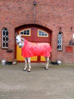 Verkaufe Regendecke 155cm Schleswig-Holstein - Brügge Holst Vorschau