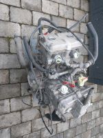 Honda vfr 750 rc36 2 Motor Rheinland-Pfalz - St Katharinen Vorschau