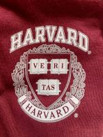 echtes Universität HARVARD T-Shirt USA Gr. L Bordeaux Hessen - Dreieich Vorschau