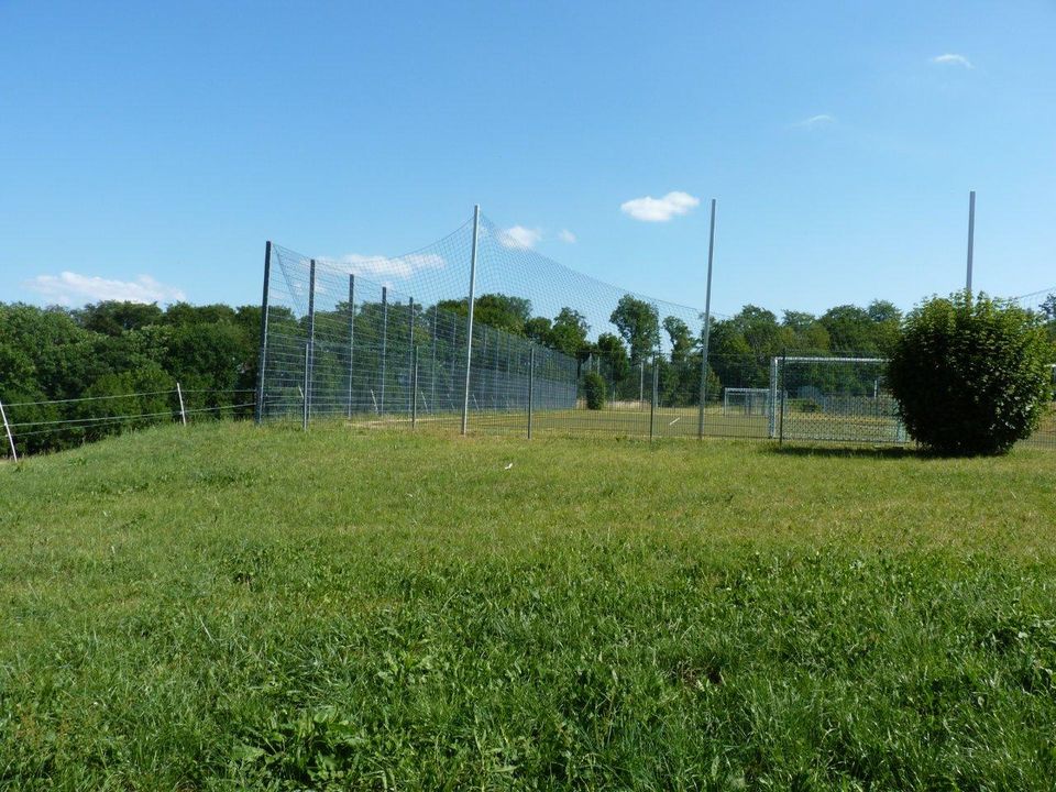 Grünfläche zwischen Bebauung, Sportplatz und Pferdeställen bei Glashütten in der Nähe von Königstein - provisionsfrei kaufen in Glashütten