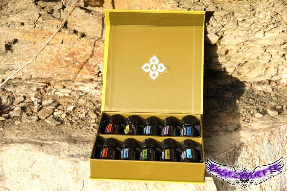 DoTerra ätherische Öle geist körper seele Gesundheit Küche in Herrenberg