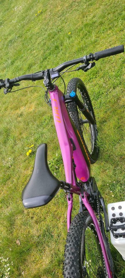 Orbea wild fs ebike fully e bike 2018 shimano steps e8000 500wh in Hohenahr