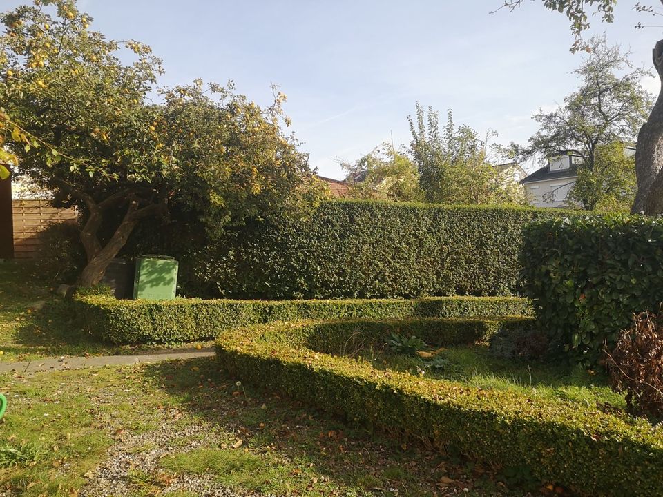 Traumhaft nah der Ostsee! Anlageobjekt oder Neubau.. in Sierksdorf