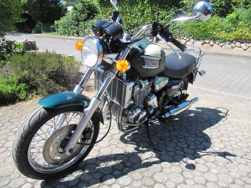 Klassiker Triumph Thunderbird 900 sehr schöner Zustand in Schwarzenbek