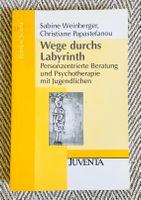 Wege durchs Labyrinth Beratung Psychotherapie Buch Bücher Psycho Bayern - Sulzbach-Rosenberg Vorschau