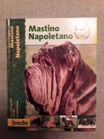 Mastino Napoletano Bayern - Pleinfeld Vorschau