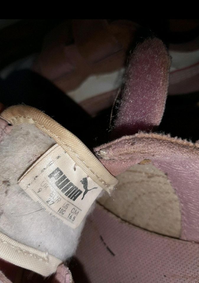 Mädchen Sneaker Turnschuh mit Klettverschluss Puma Größe 27 lila in Untermerzbach