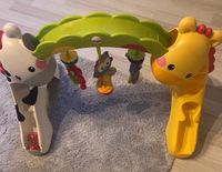 Fisher Price Erlebnissdecke Nordrhein-Westfalen - Bestwig Vorschau