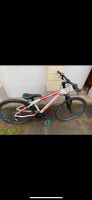 Bergamont  Mountainbike 26 Zoll Nordrhein-Westfalen - Oberhausen Vorschau