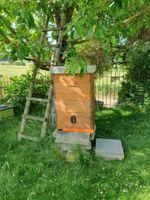 2x Bienenvolk Carnica auf Dadant US modifiziert Bayern - Hausen bei Würzburg Vorschau