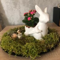 Hase mit Karre Thüringen - Mühlhausen Vorschau